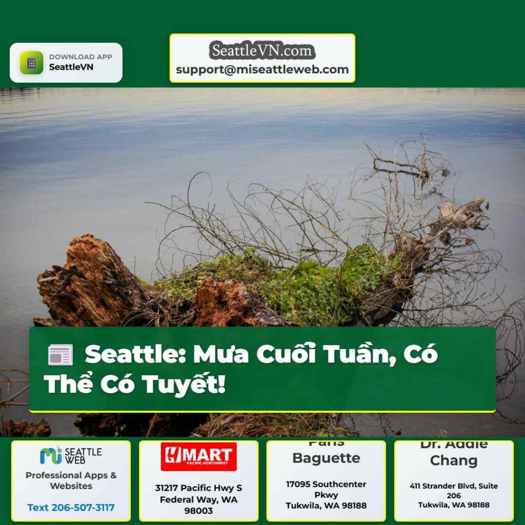 Seattle: Mưa Cuối Tuần, Có Thể Có Tuyết!