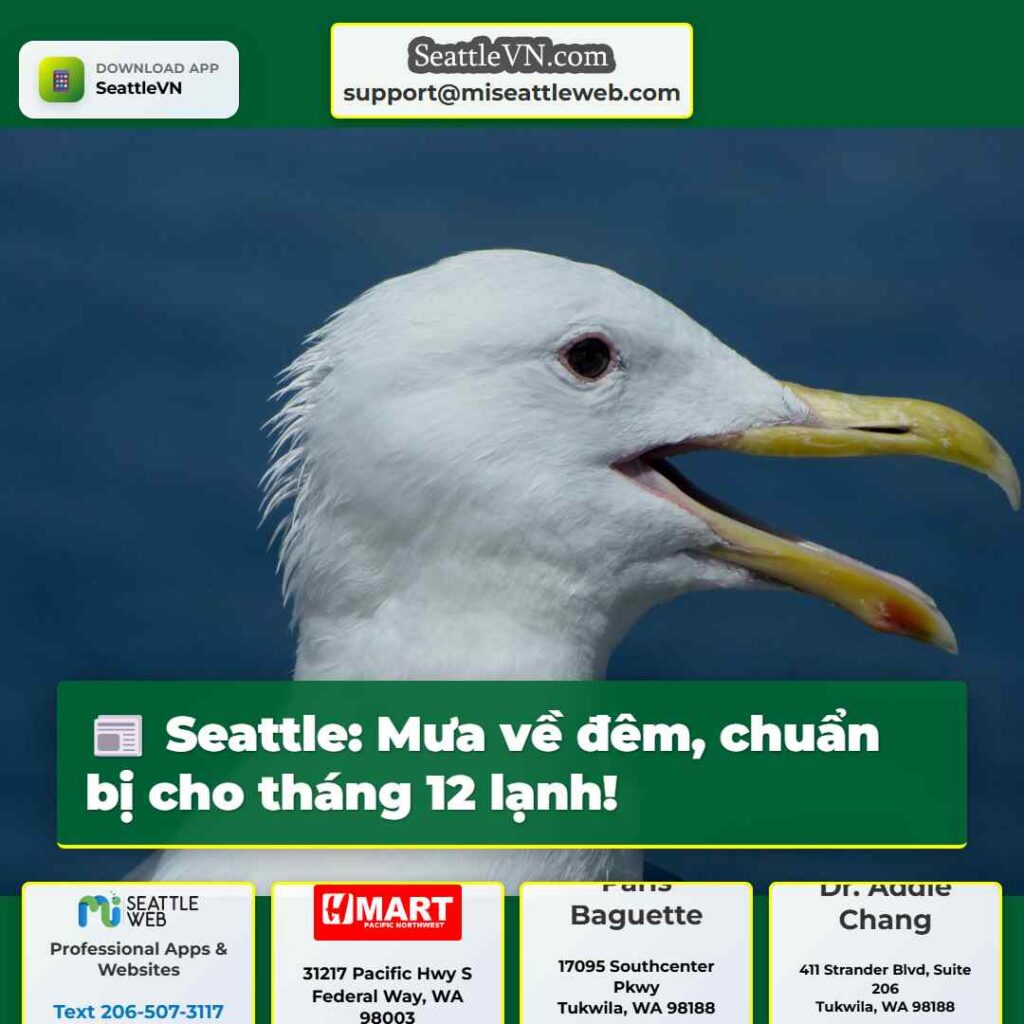Seattle: Mưa về đêm, chuẩn bị cho tháng 12 lạnh!