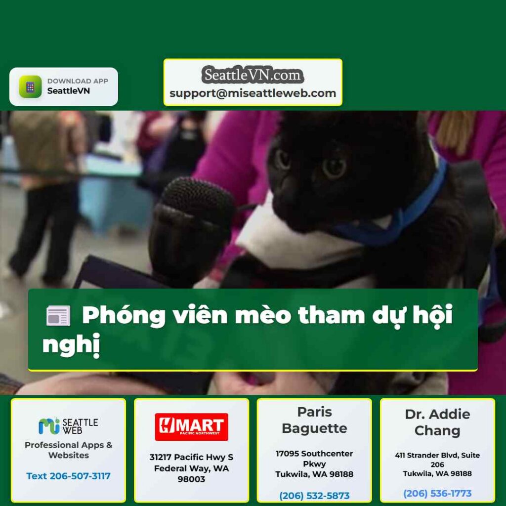 Phóng viên mèo tham dự hội nghị