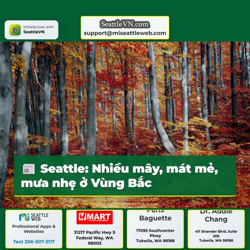 Seattle: Nhiều mây, mát mẻ, mưa nhẹ ở Vùng Bắc