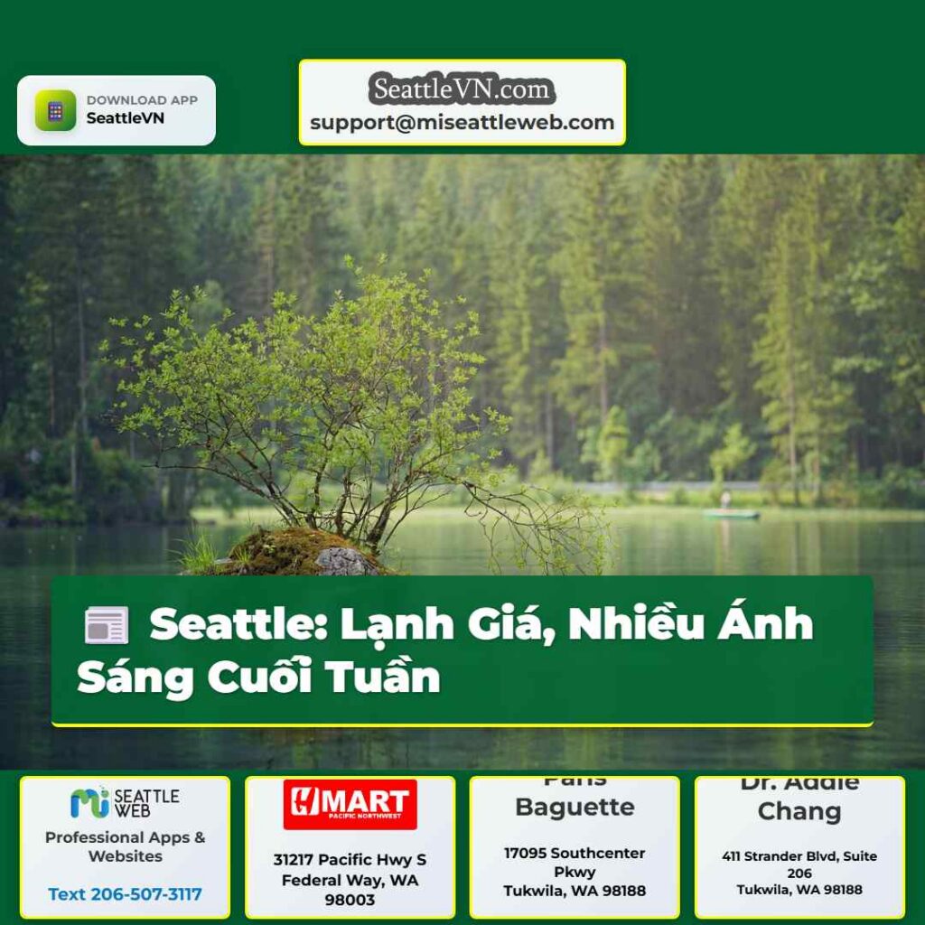 Seattle: Lạnh Giá, Nhiều Ánh Sáng Cuối Tuần