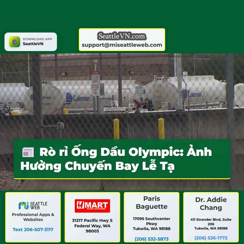 Rò rỉ Ống Dầu Olympic: Ảnh Hưởng Chuyến Bay Lễ Tạ