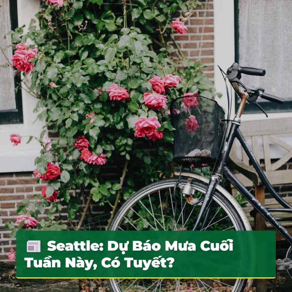 Seattle: Dự Báo Mưa Cuối Tuần Này, Có Tuyết?