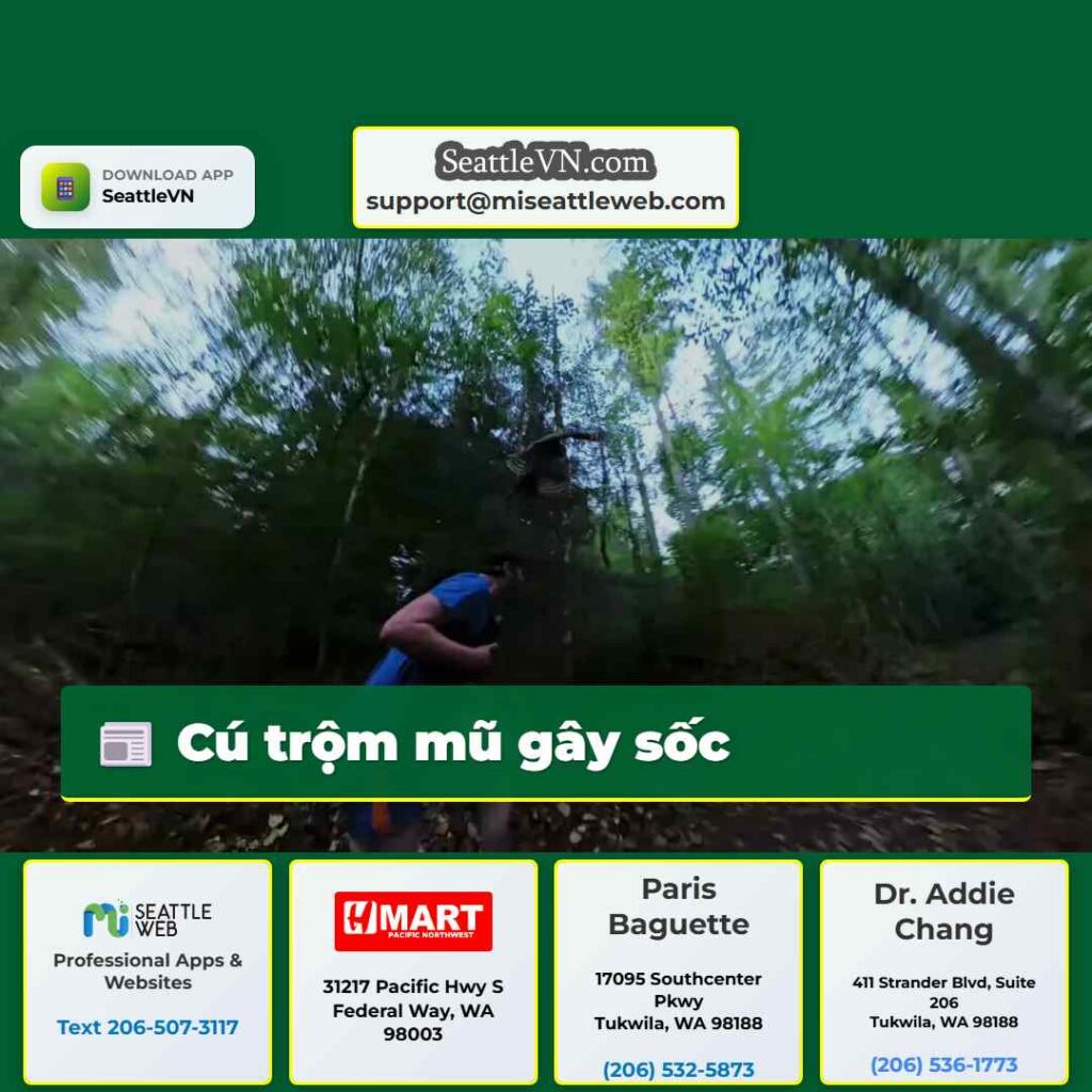 Cú trộm mũ gây sốc