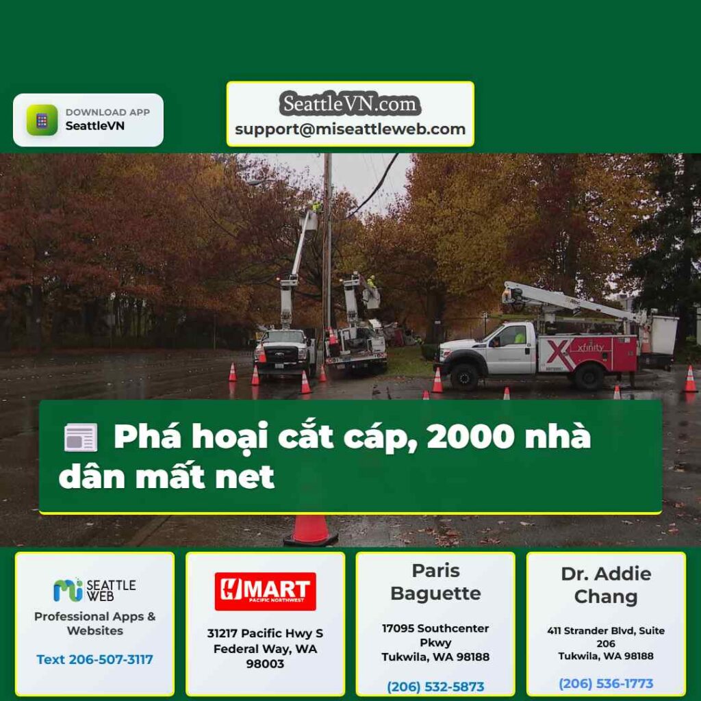 Phá hoại cắt cáp, 2000 nhà dân mất net