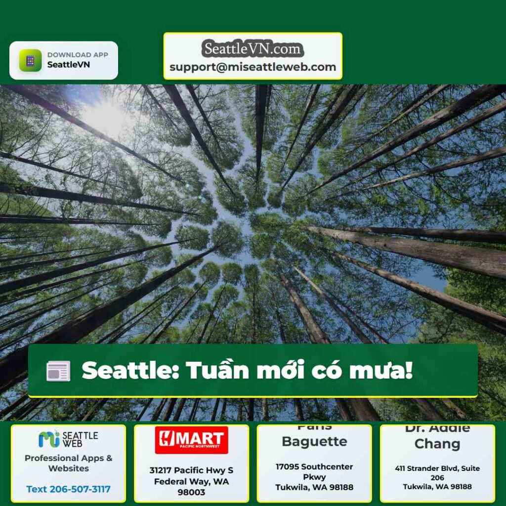 Seattle: Tuần mới có mưa!