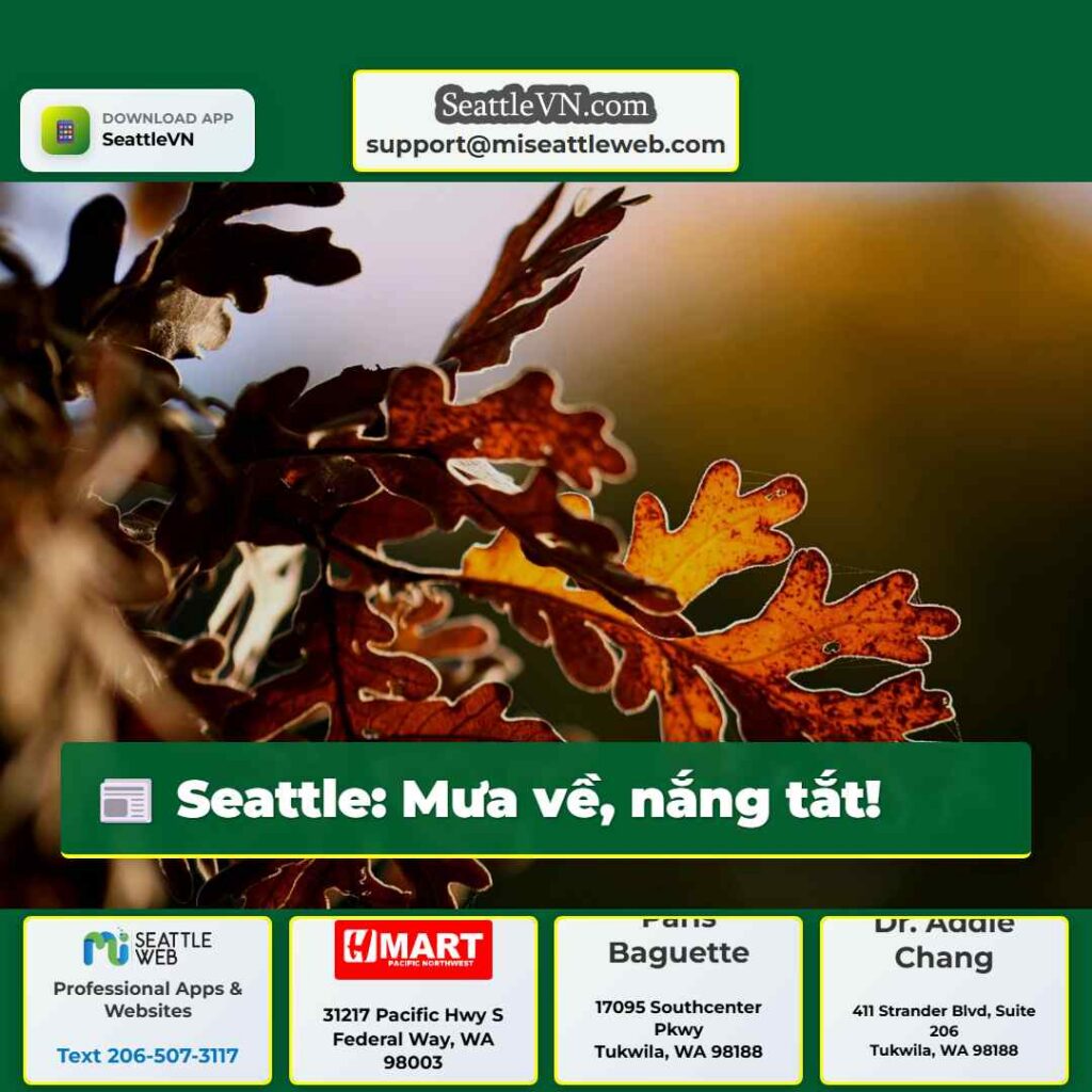 Seattle: Mưa về, nắng tắt!