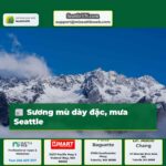 Sương mù sớm và trời mưa sau ở Seattle