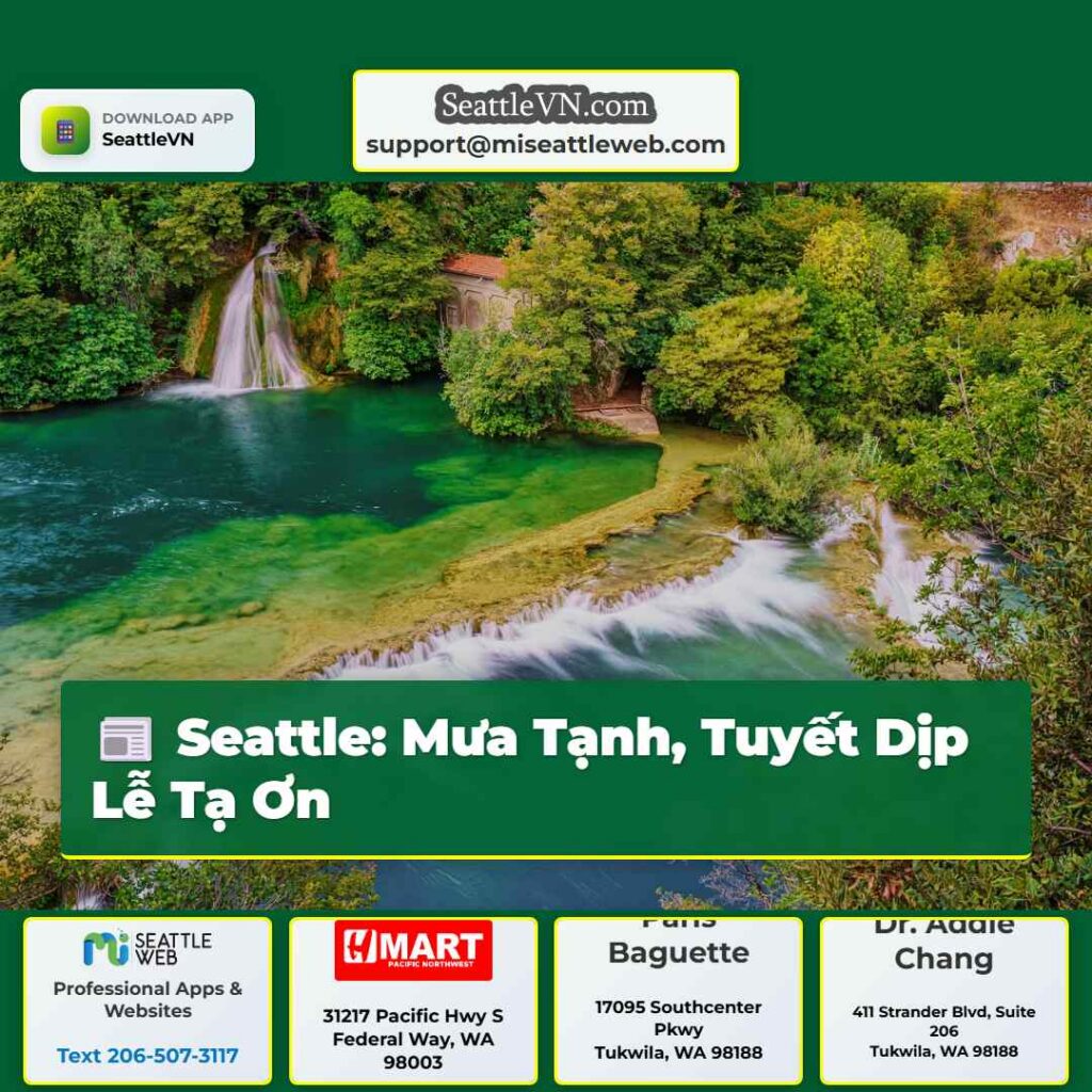 Seattle: Mưa Tạnh, Tuyết Dịp Lễ Tạ Ơn