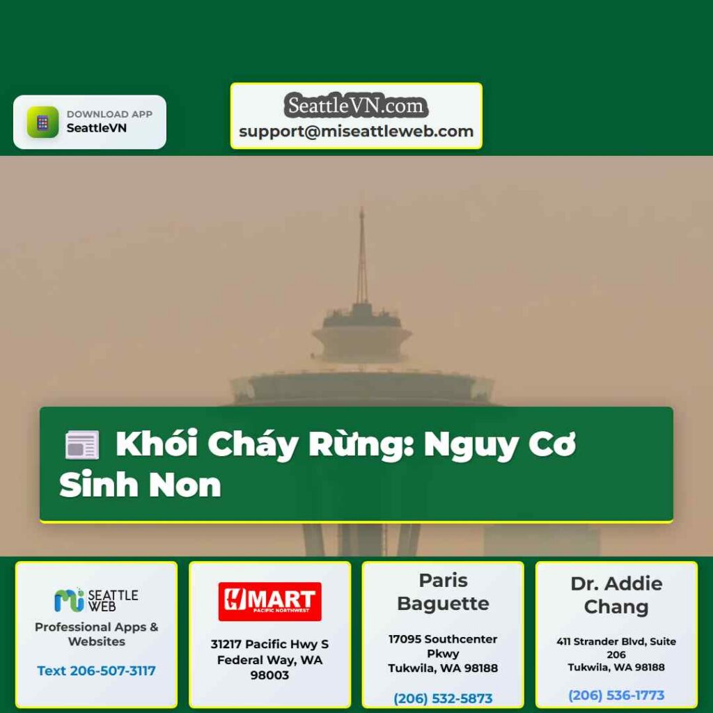 Khói Cháy Rừng: Nguy Cơ Sinh Non