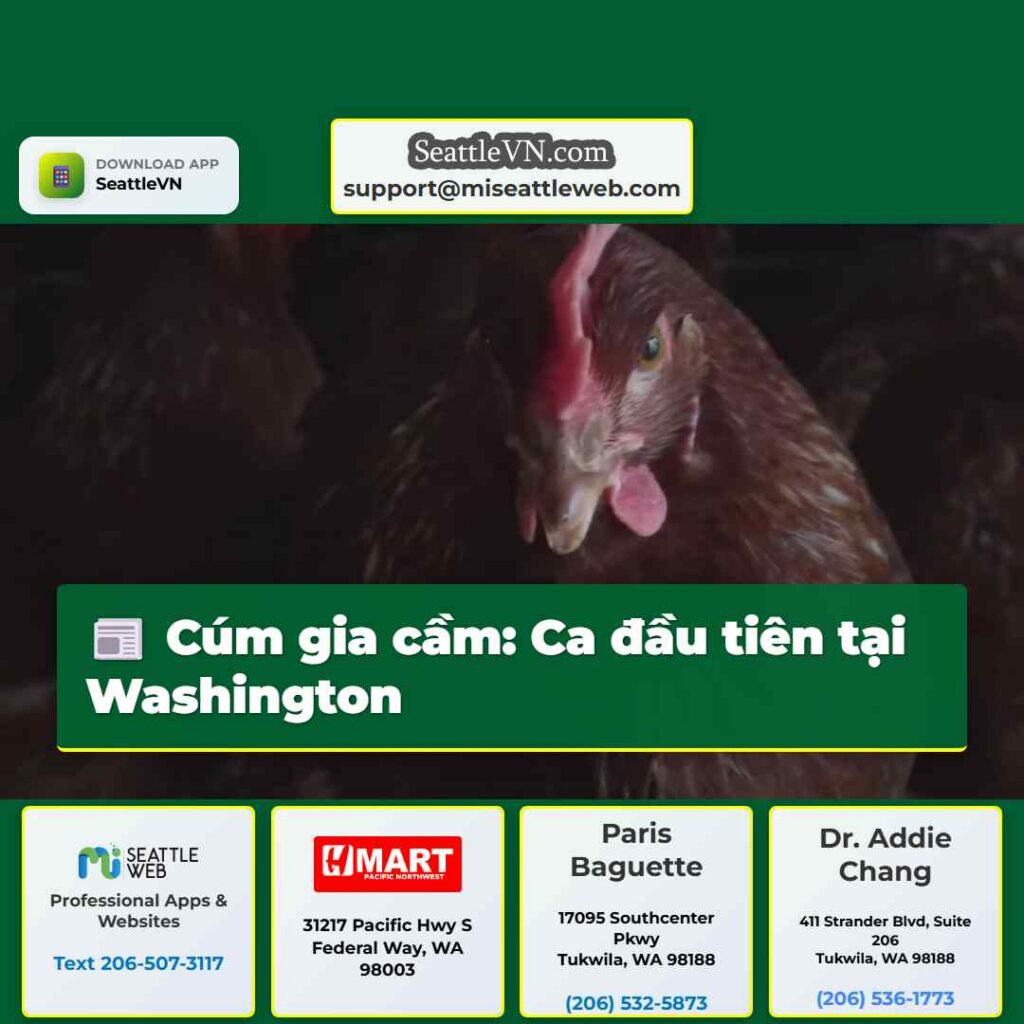 Cúm gia cầm: Ca đầu tiên tại Washington