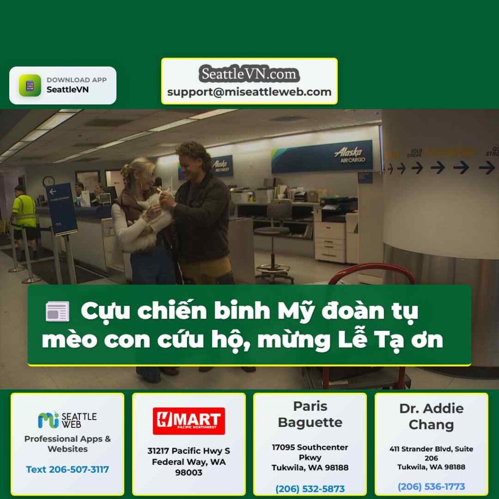 Cựu chiến binh Mỹ đoàn tụ mèo con cứu hộ, mừng Lễ