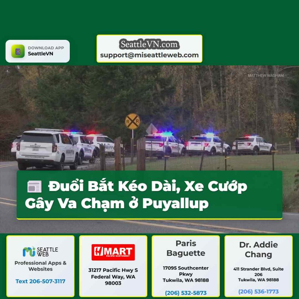 Đuổi Bắt Kéo Dài, Xe Cướp Gây Va Chạm ở Puyallup