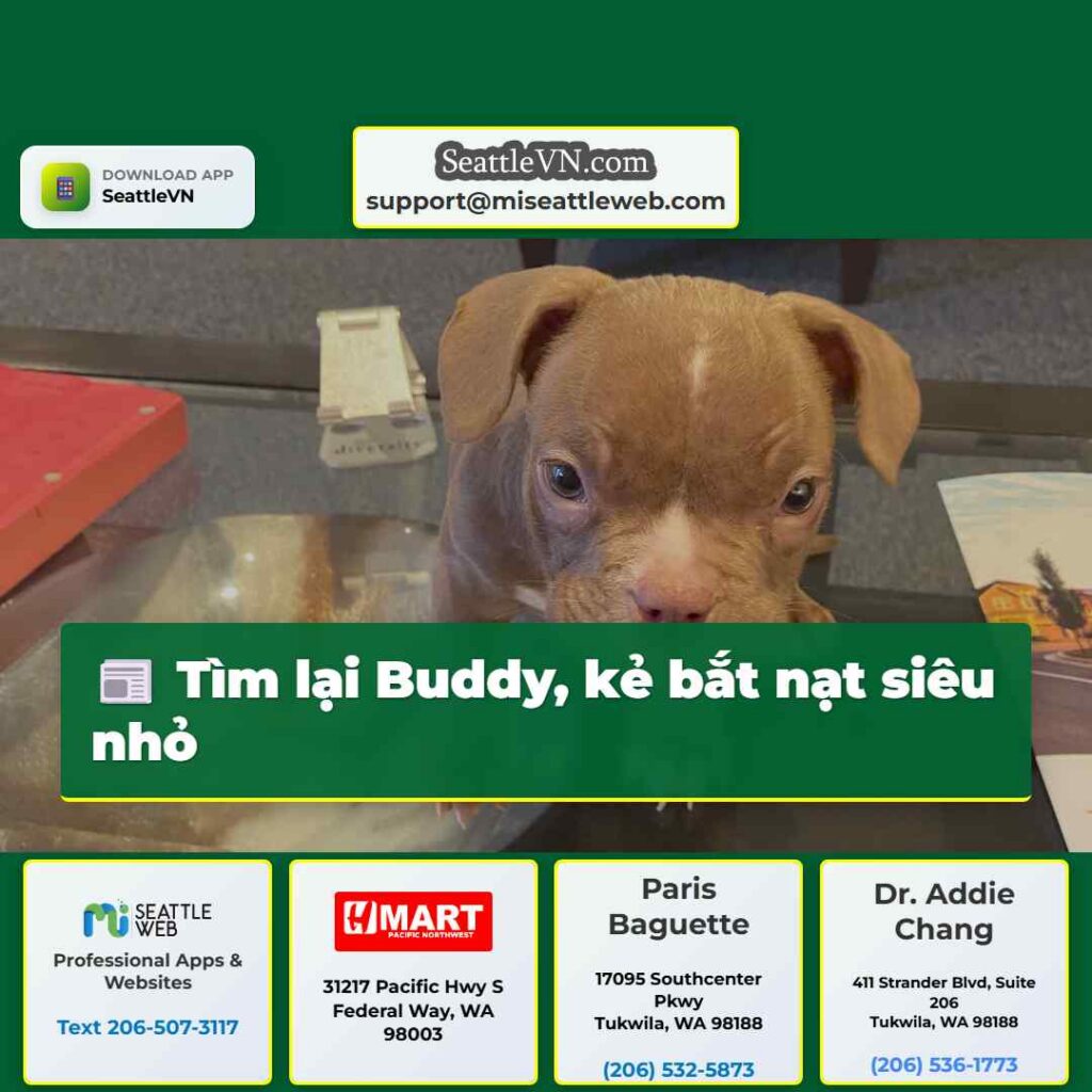 Tìm lại Buddy, kẻ bắt nạt siêu nhỏ
