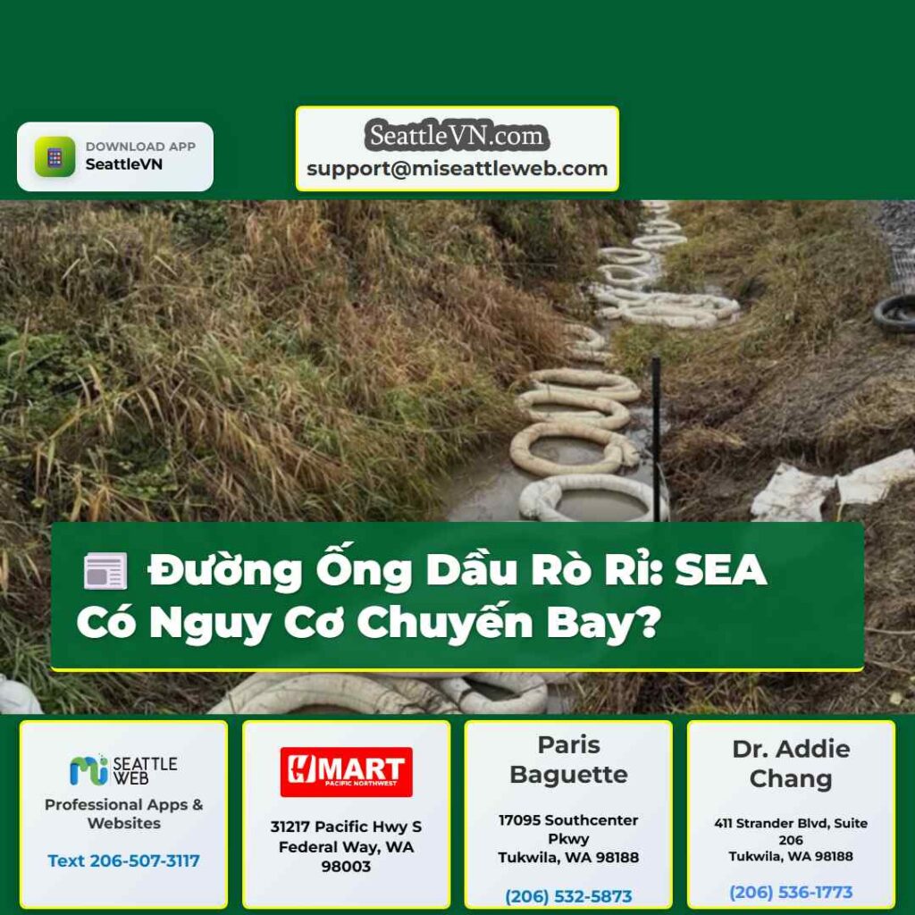 Đường Ống Dầu Rò Rỉ: SEA Có Nguy Cơ Chuyến Bay?