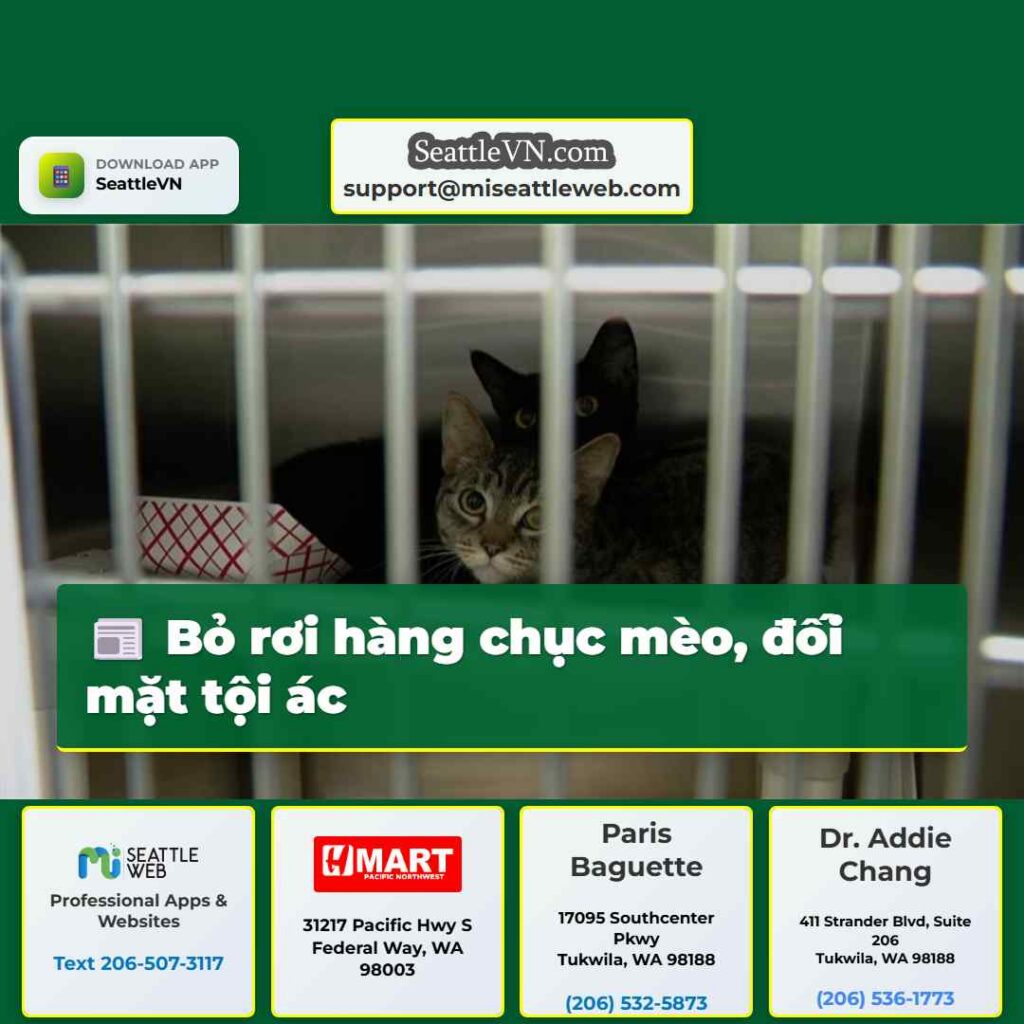 Bỏ rơi hàng chục mèo, đối mặt tội ác