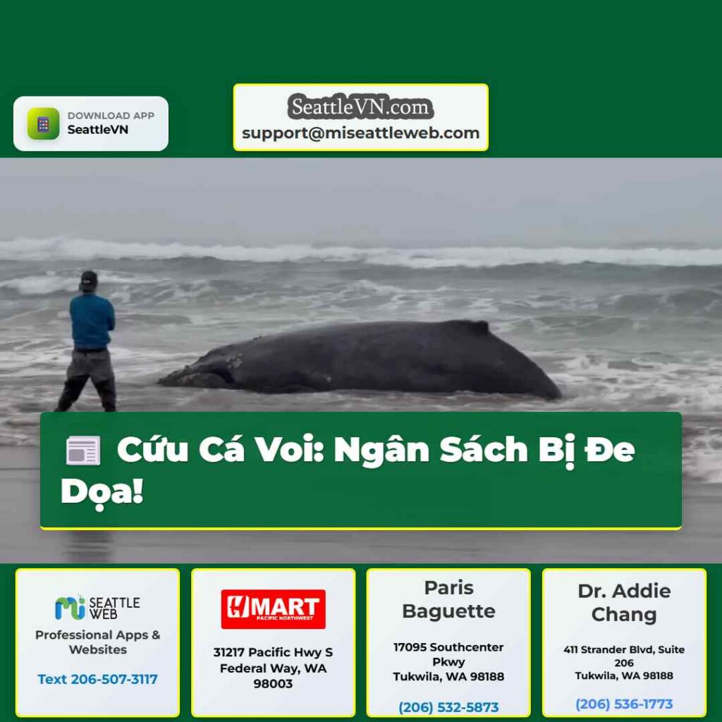 Cứu Cá Voi: Ngân Sách Bị Đe Dọa!