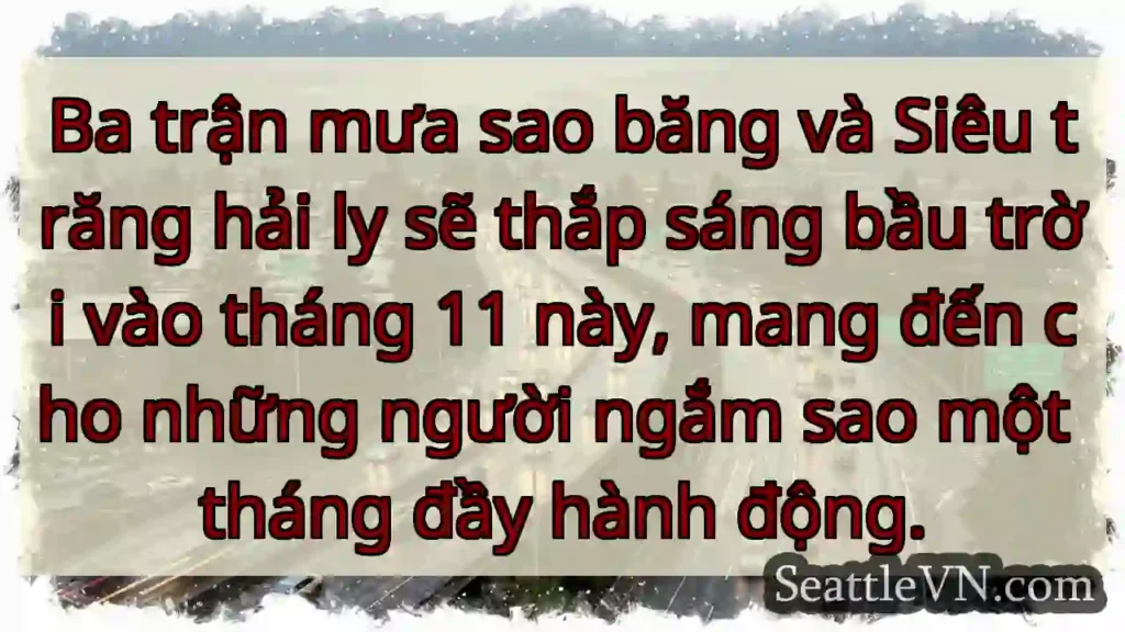 Ba trận mưa sao băng và Siêu trăng hải ly sẽ thắp