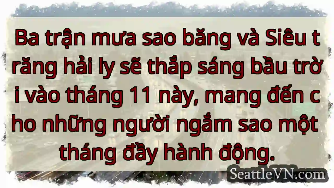 Ba trận mưa sao băng và Siêu trăng hải ly sẽ thắp