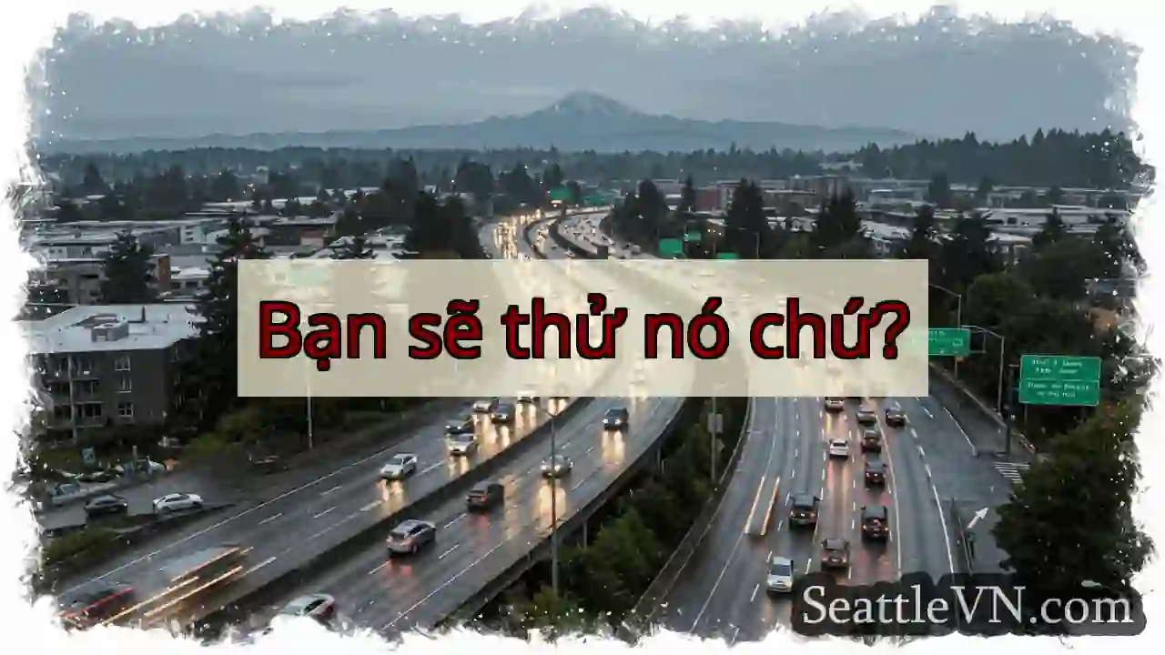 Bạn sẽ thử nó chứ?