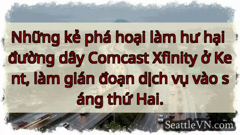 Những kẻ phá hoại làm hư hại đường dây Comcast