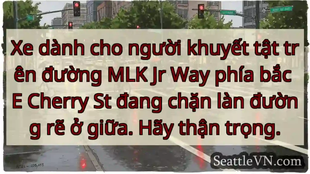 Xe dành cho người khuyết tật trên đường MLK Jr