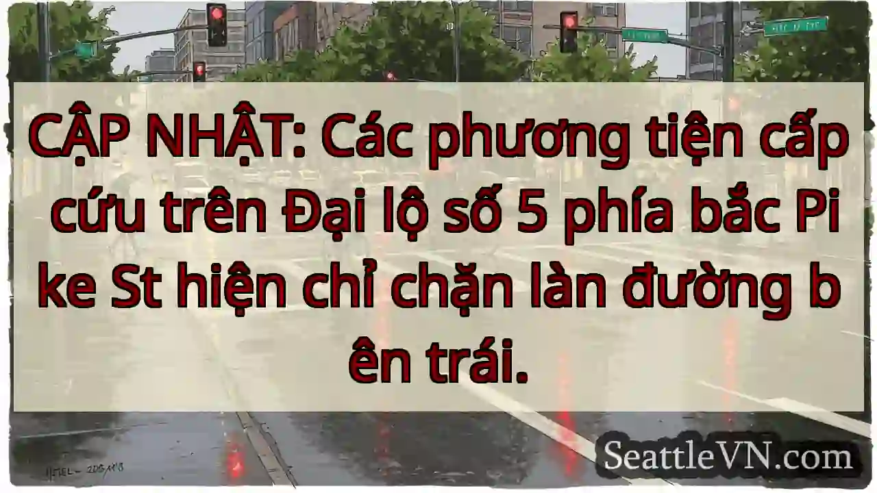 CẬP NHẬT: Các phương tiện cấp cứu trên Đại lộ số