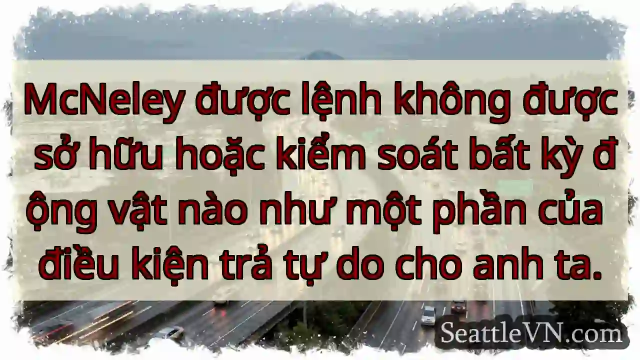 McNeley được lệnh không được sở hữu hoặc kiểm
