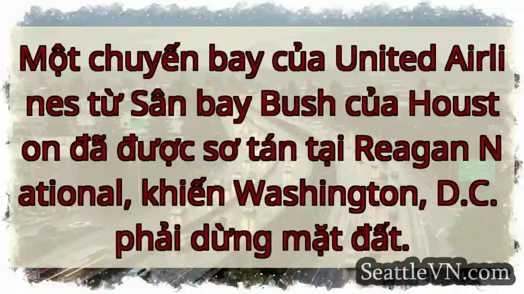 Một chuyến bay của United Airlines từ Sân bay