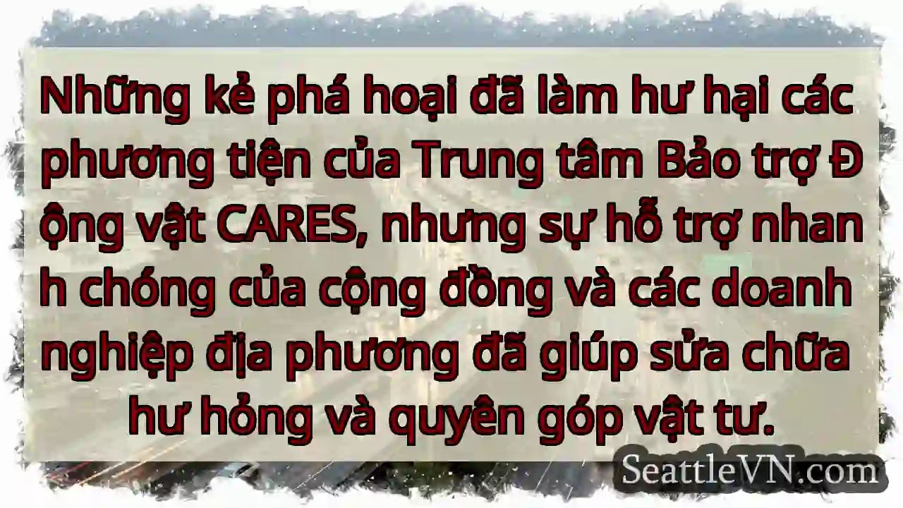 Những kẻ phá hoại đã làm hư hại các phương tiện
