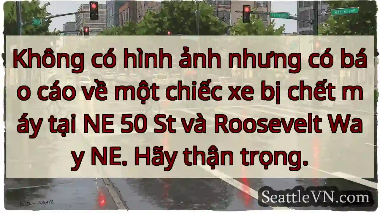 Không có hình ảnh nhưng có báo cáo về một chiếc