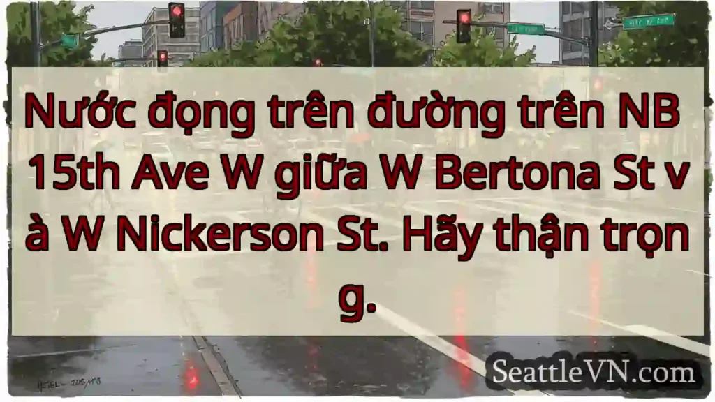 Nước đọng trên đường trên NB 15th Ave W giữa W