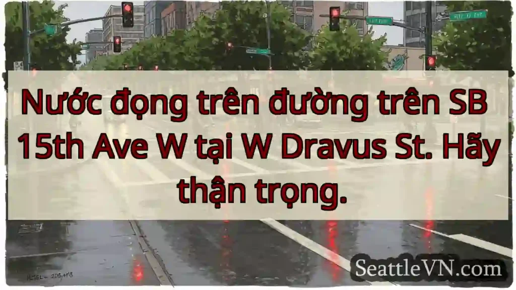 Nước đọng trên đường trên SB 15th Ave W tại W