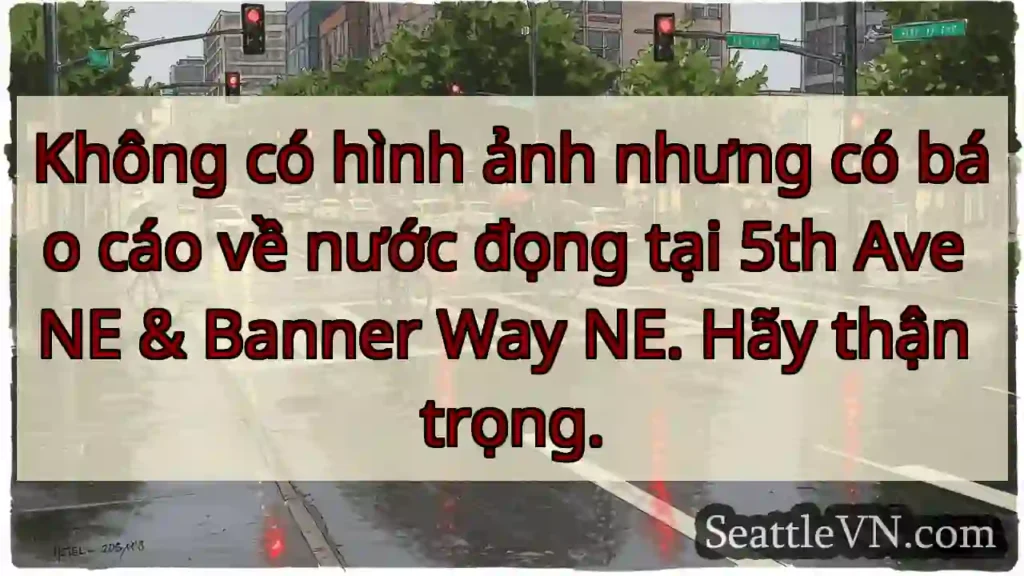 Không có hình ảnh nhưng có báo cáo về nước đọng