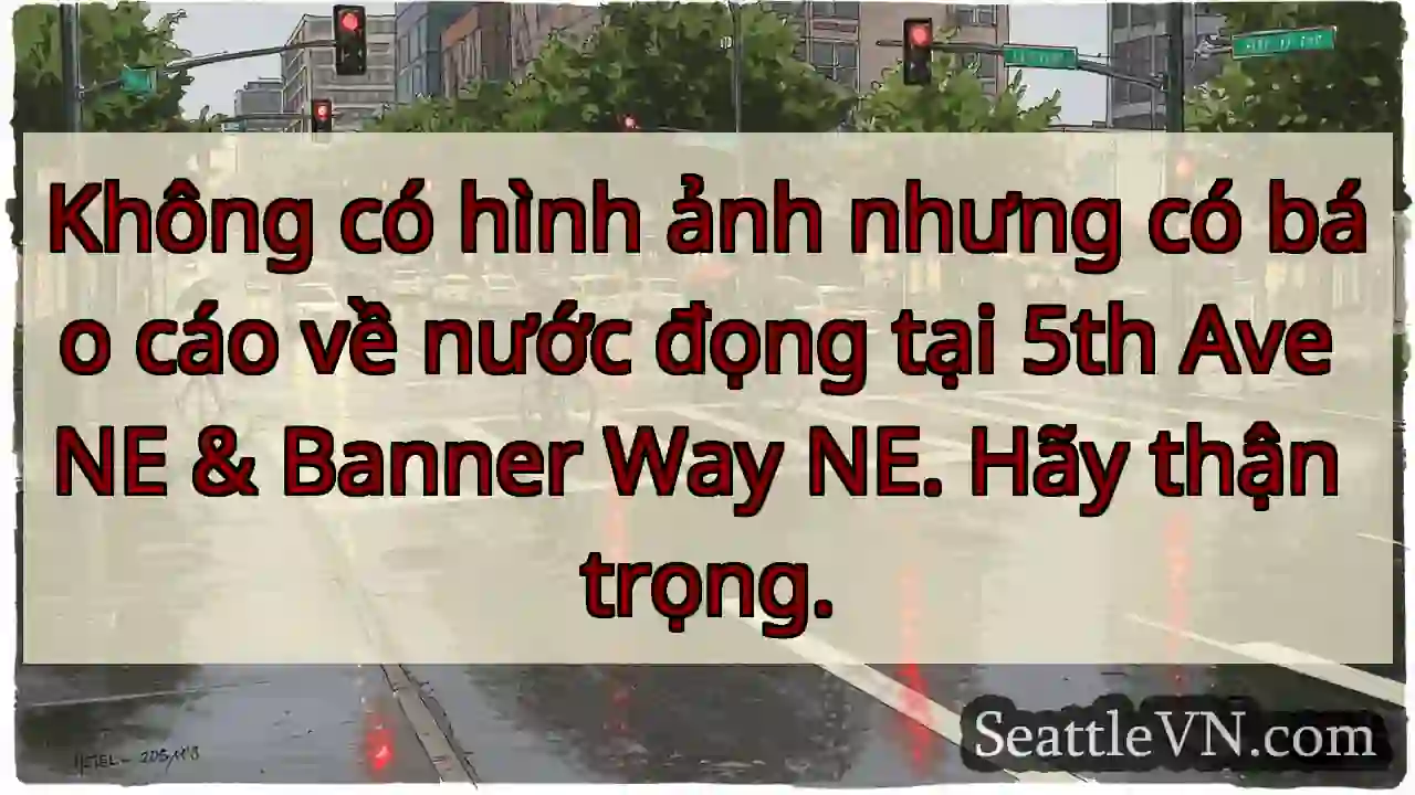 Không có hình ảnh nhưng có báo cáo về nước đọng