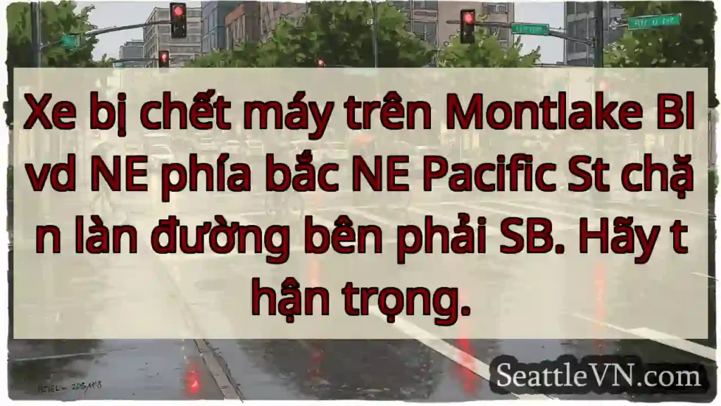 Xe bị chết máy trên Montlake Blvd NE phía bắc NE