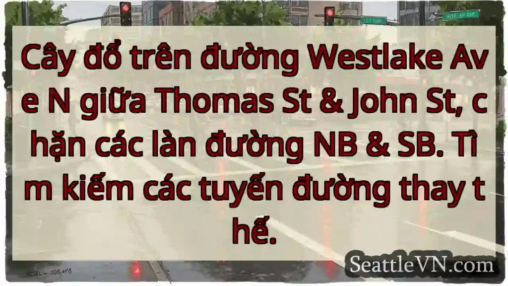 Cây đổ trên đường Westlake Ave N giữa Thomas St &
