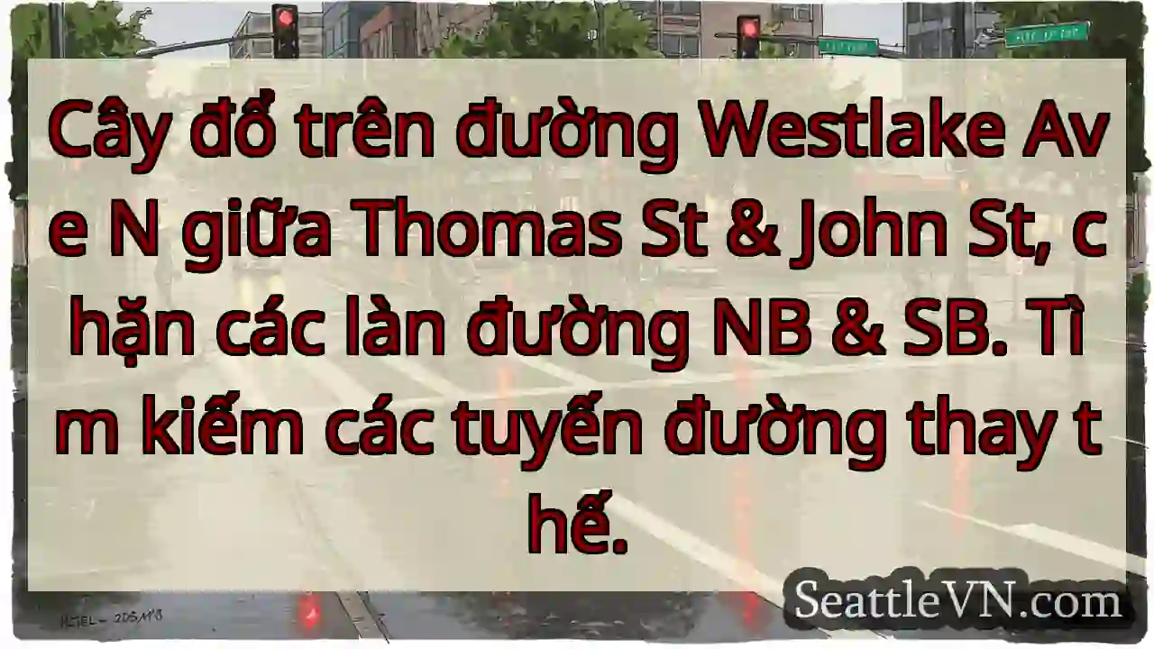 Cây đổ trên đường Westlake Ave N giữa Thomas St &