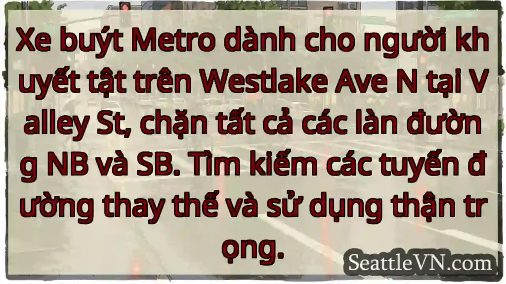 Xe buýt Metro dành cho người khuyết tật trên