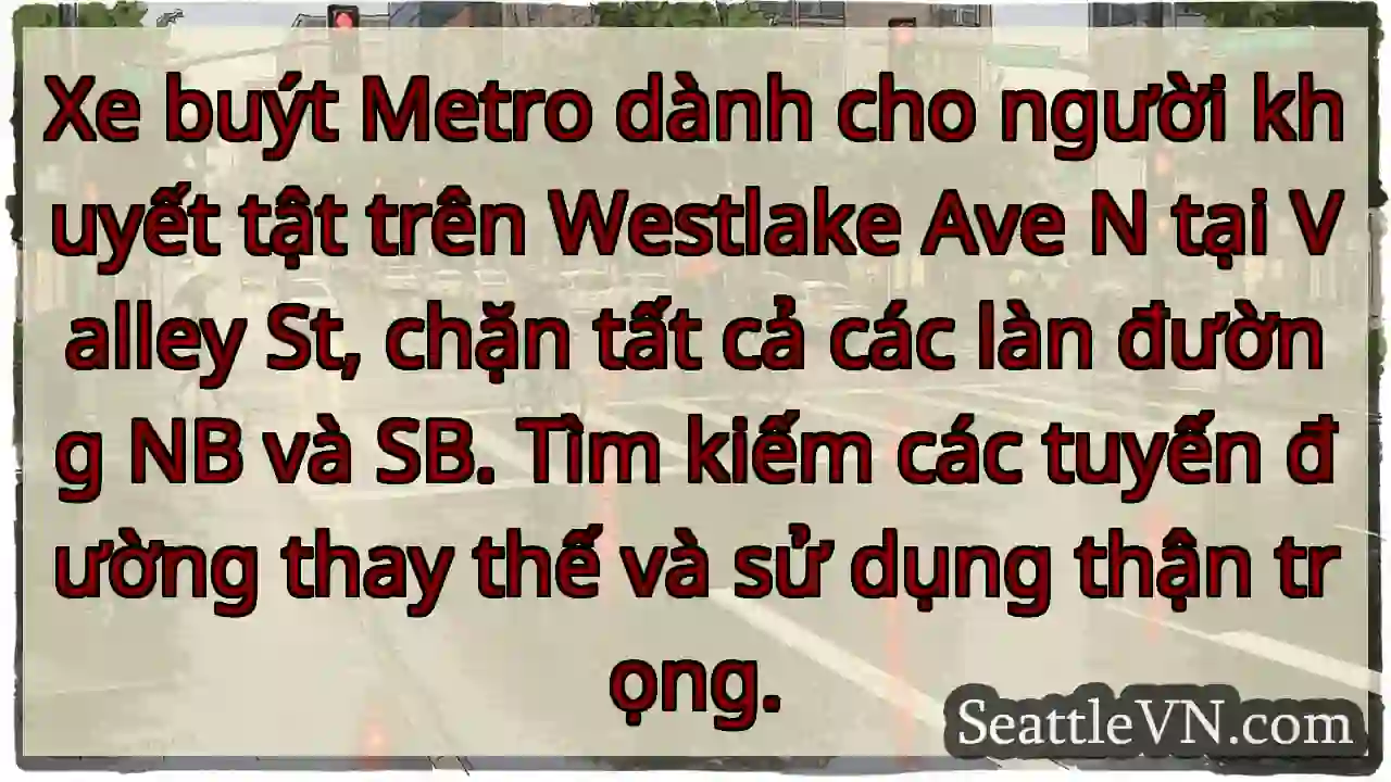 Xe buýt Metro dành cho người khuyết tật trên