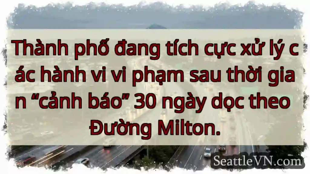 Thành phố đang tích cực xử lý các hành vi vi phạm
