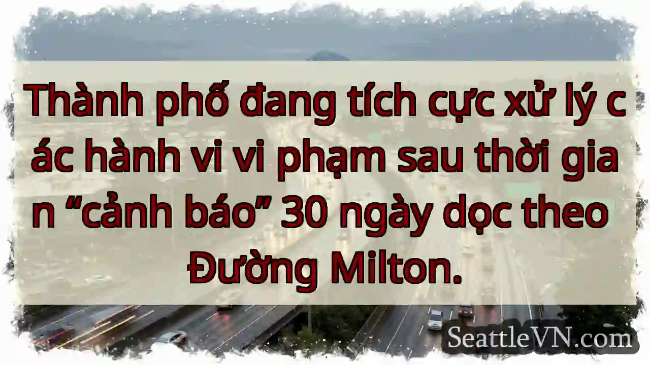 Thành phố đang tích cực xử lý các hành vi vi phạm