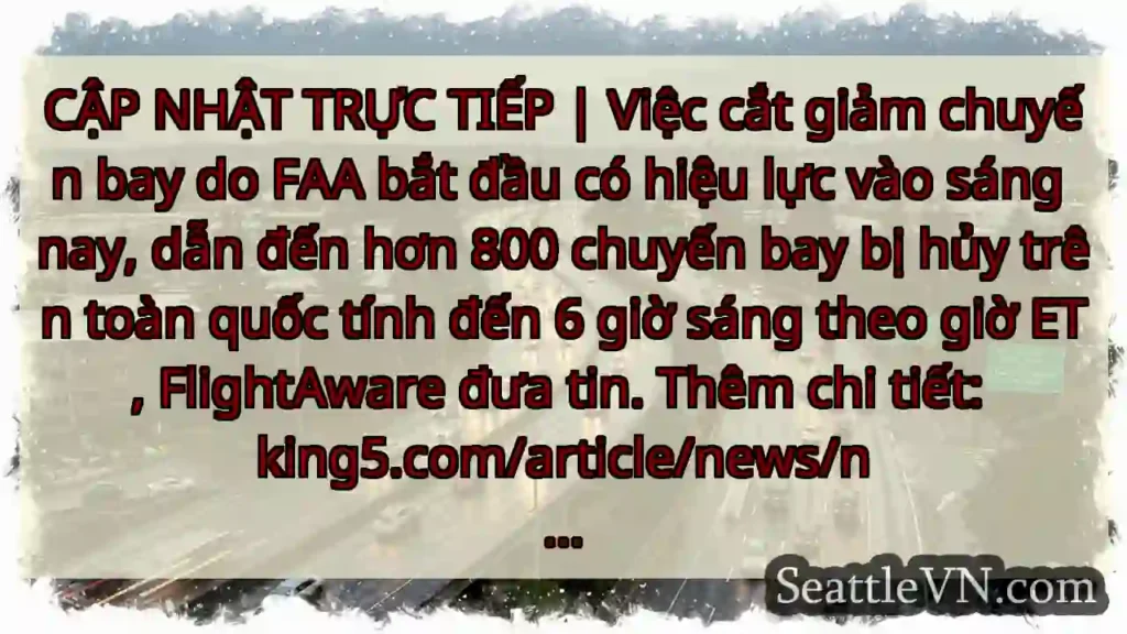 CẬP NHẬT TRỰC TIẾP | Việc cắt giảm chuyến bay do