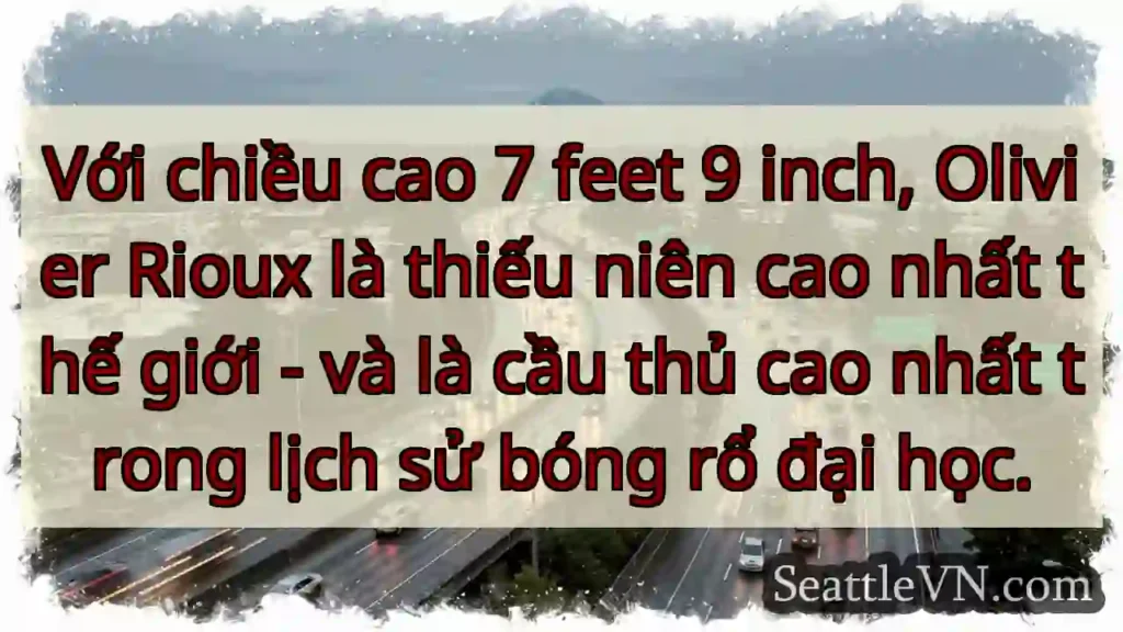 Với chiều cao 7 feet 9 inch, Olivier Rioux là