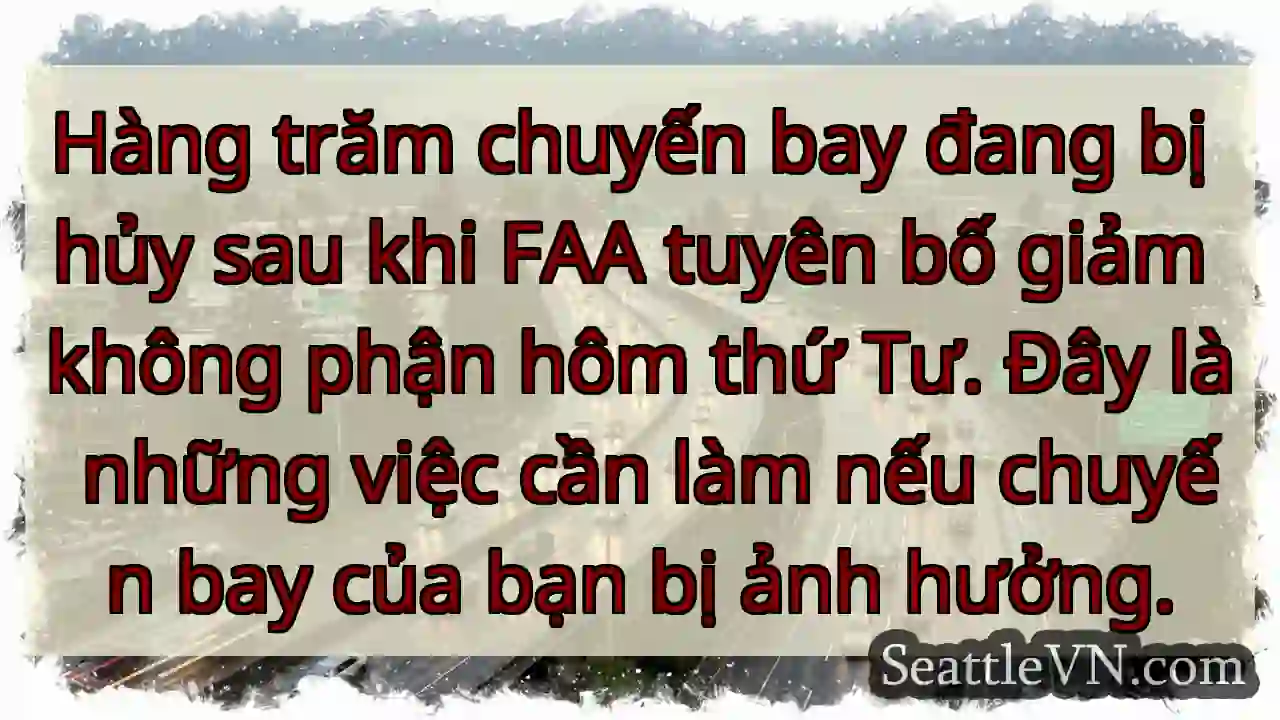 Hàng trăm chuyến bay đang bị hủy sau khi FAA