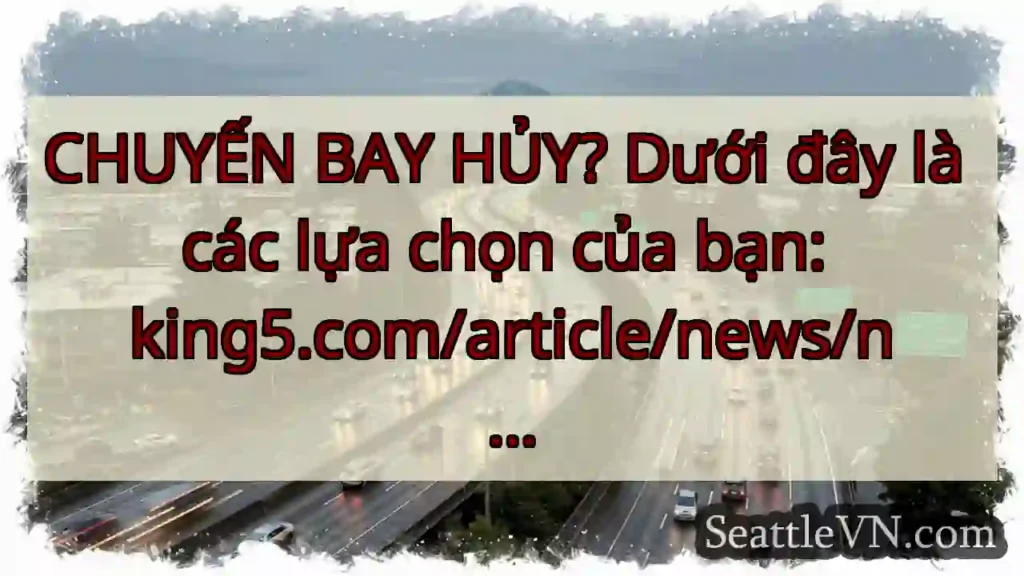 CHUYẾN BAY HỦY? Dưới đây là các lựa chọn của bạn: