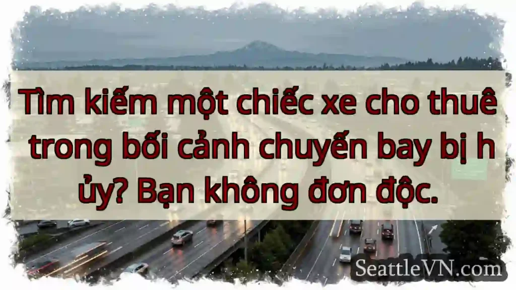 Tìm kiếm một chiếc xe cho thuê trong bối cảnh