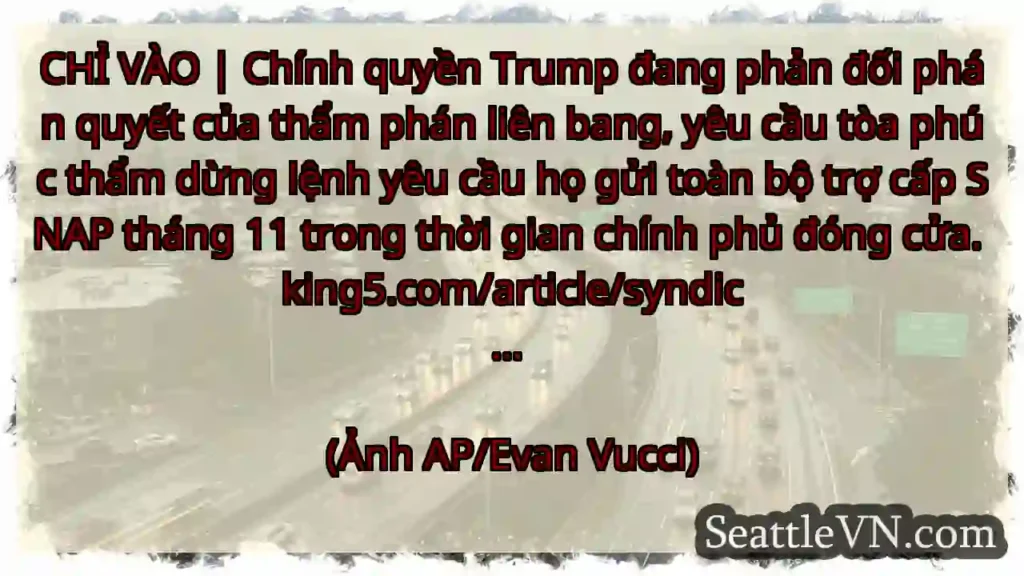 CHỈ VÀO | Chính quyền Trump đang phản đối phán