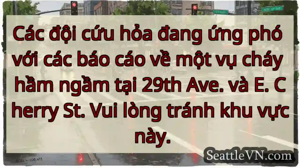 Các đội cứu hỏa đang ứng phó với các báo cáo về