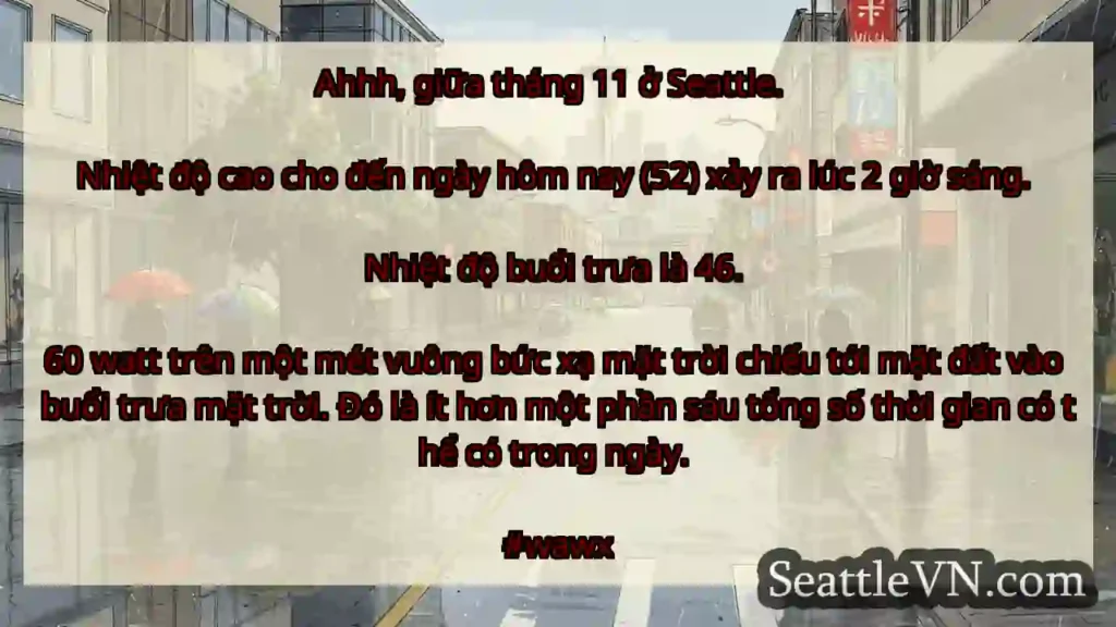 Ahhh, giữa tháng 11 ở Seattle.